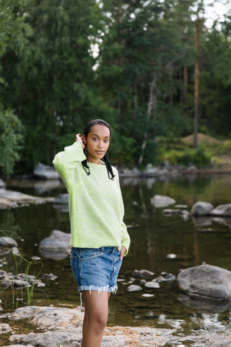 Laine Magazine Issue 25